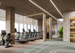 6.lumiere prime hills